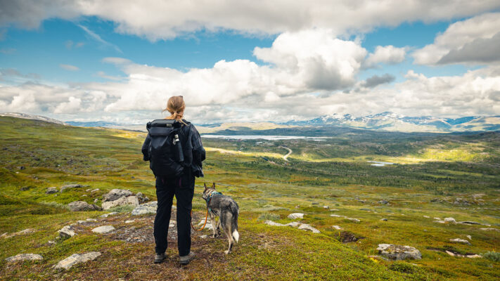 Top 5 things to do in Abisko this spring and summer